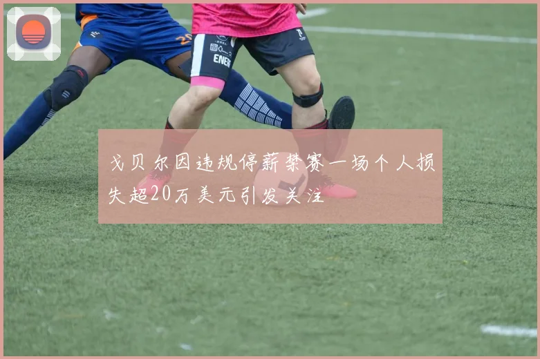 戈贝尔因违规停薪禁赛一场个人损失超20万美元引发关注