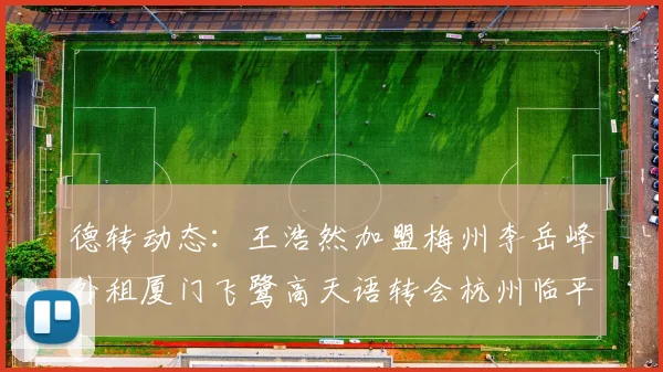 德转动态：王浩然加盟梅州李岳峰外租厦门飞鹭高天语转会杭州临平吴越
