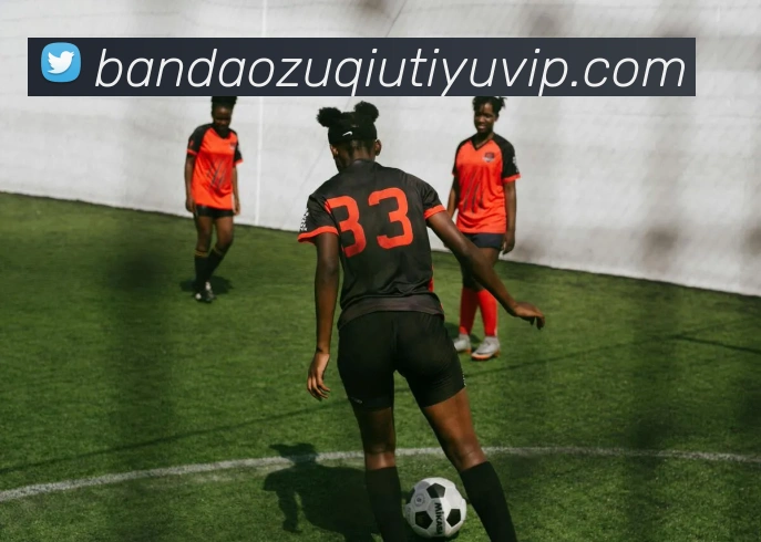 多媒体互动体验